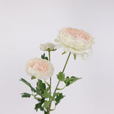 3 Heads Ranunculus Stem Light Peach 61cmH
